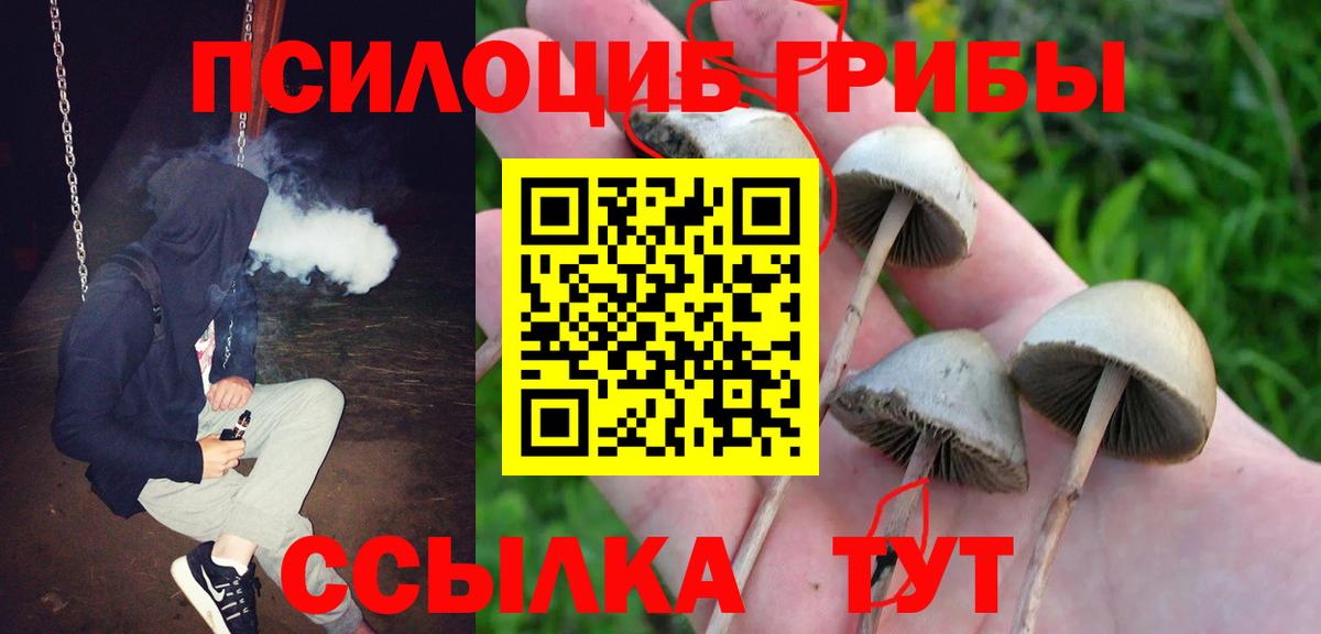 Галлюциногенные грибы Psilocybe  Вход с VPN  наркотики  Кореновск  Псилоцибиновые грибы Cubensis 