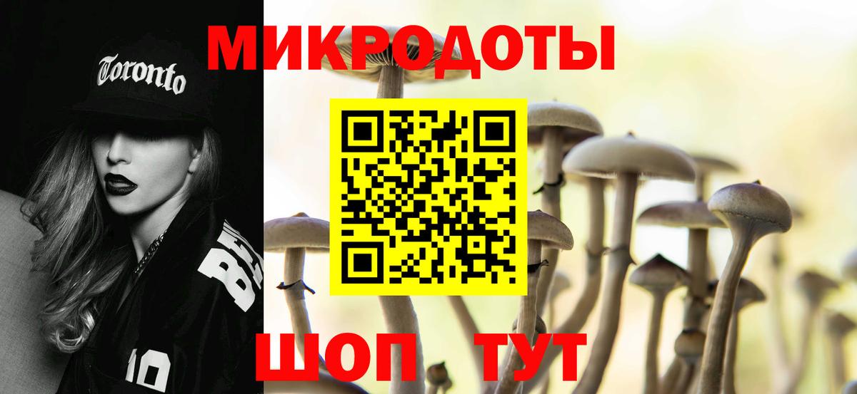 Галлюциногенные грибы Psilocybe Кореновск